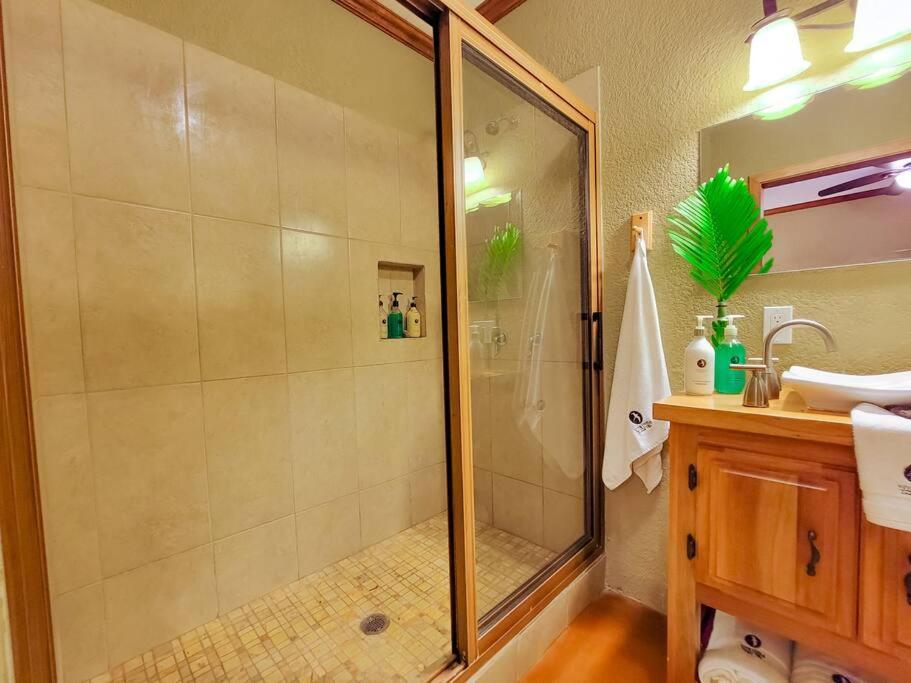 Vive Utila - Bed & Breakfast Екстер'єр фото