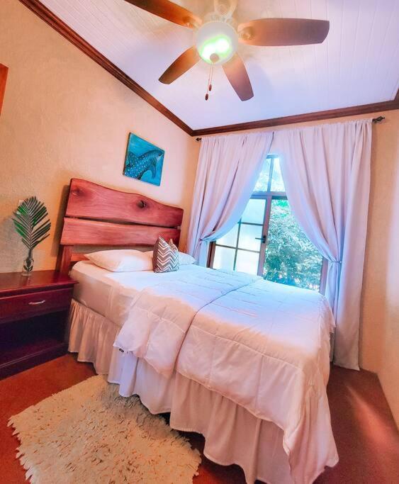 Vive Utila - Bed & Breakfast Екстер'єр фото