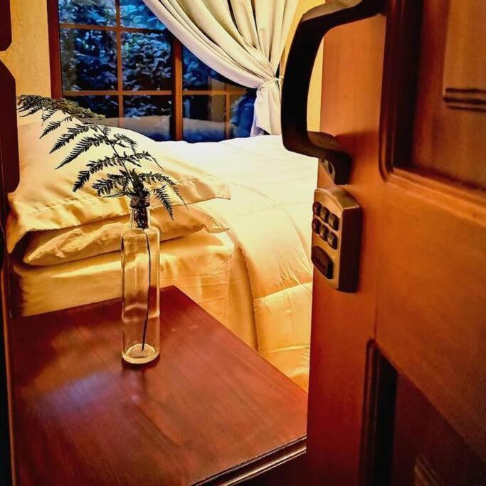 Vive Utila - Bed & Breakfast Екстер'єр фото