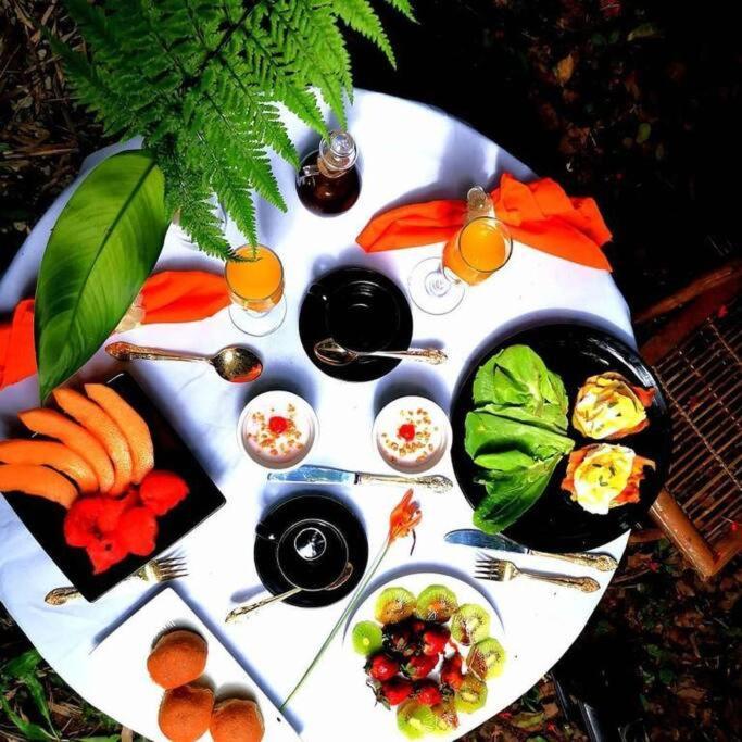 Vive Utila - Bed & Breakfast Екстер'єр фото